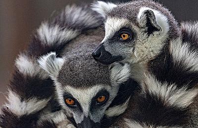 《赛博朋克2077》《圣歌》榜上有名！外媒评最令人失望的15大开放世界游戏